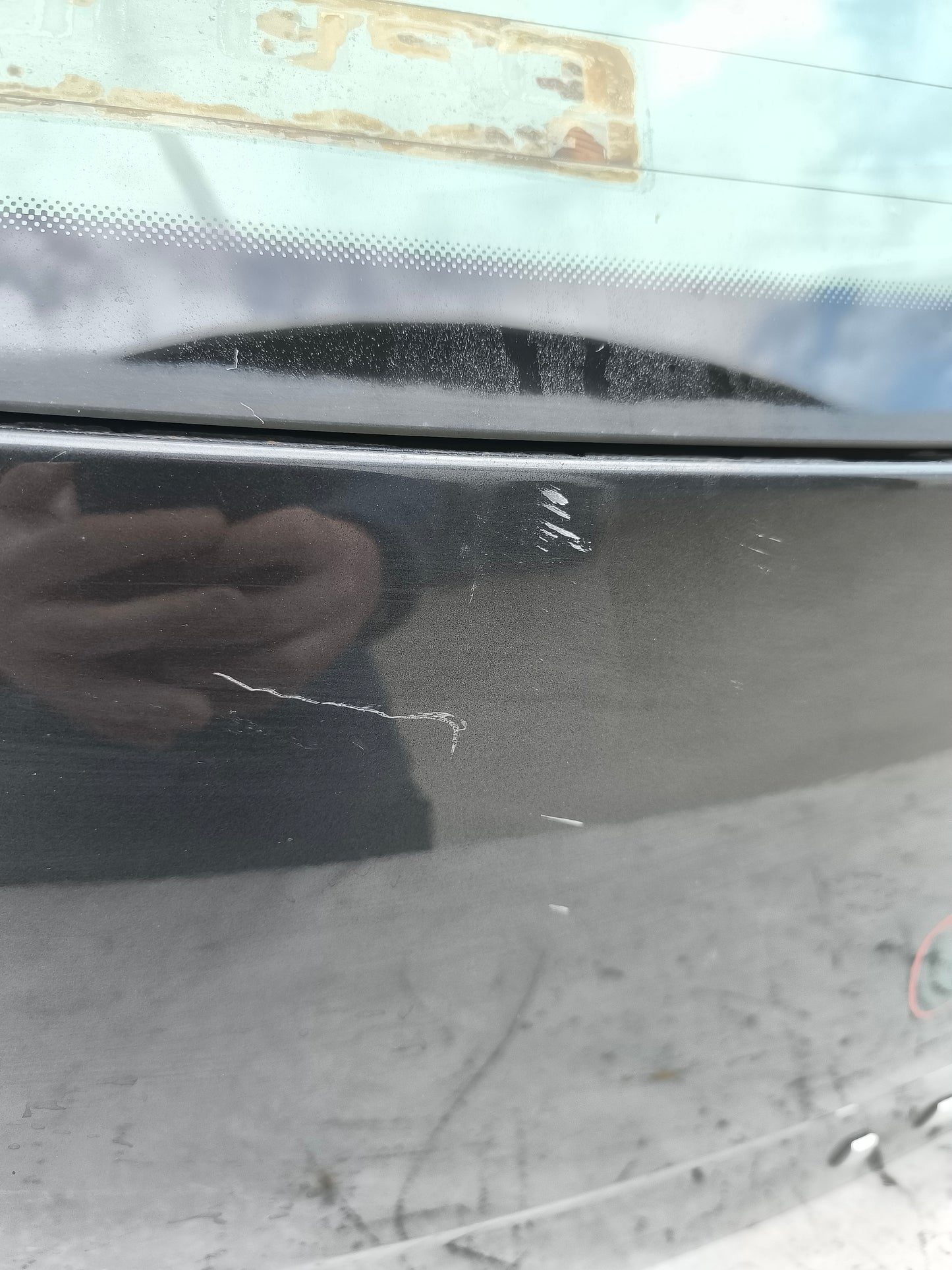 Portellone grigio canna di fucile Seat Ibiza II (6J) anno 2008-2012 ecoAG8013