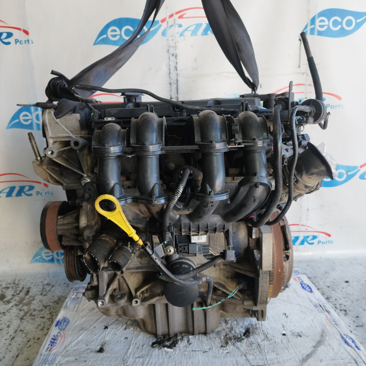 Motore Ford Fiesta 1.2 B 2010 cod: SNJA ecoAC11019