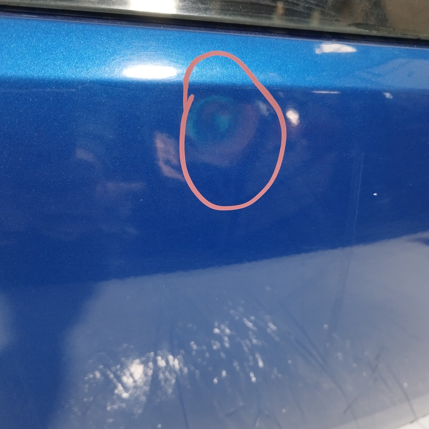 Portellone blu Fiat Punto Evo 2009-2012 ecoAC15308
