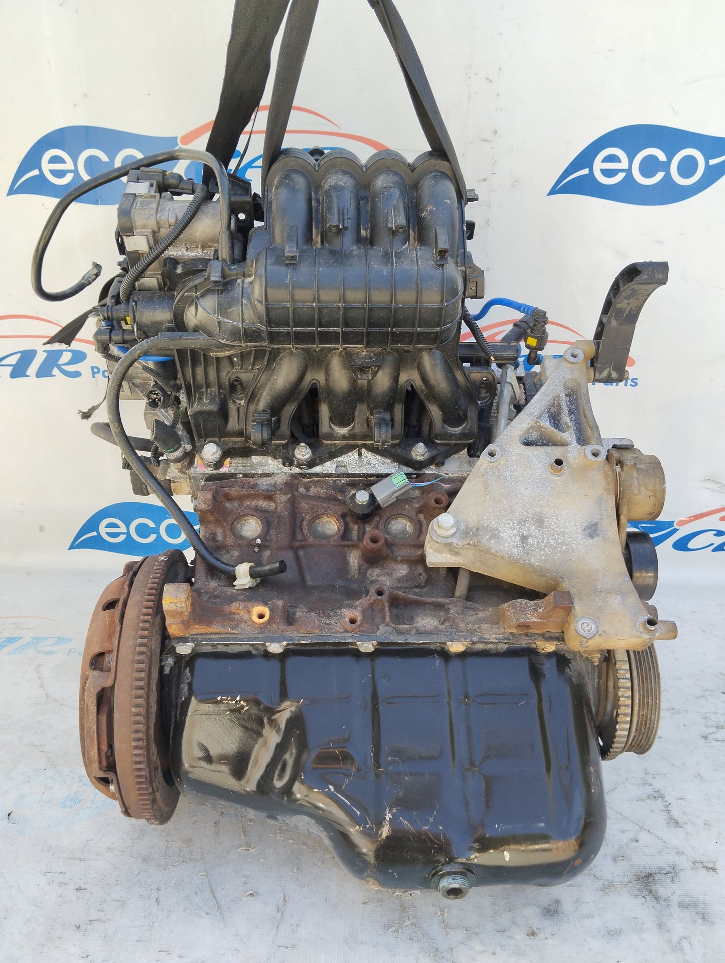 Motore Fiat Panda 1.2 b 8v  70cv cod: 169A4000 senza variatore di fase ecoAG5271