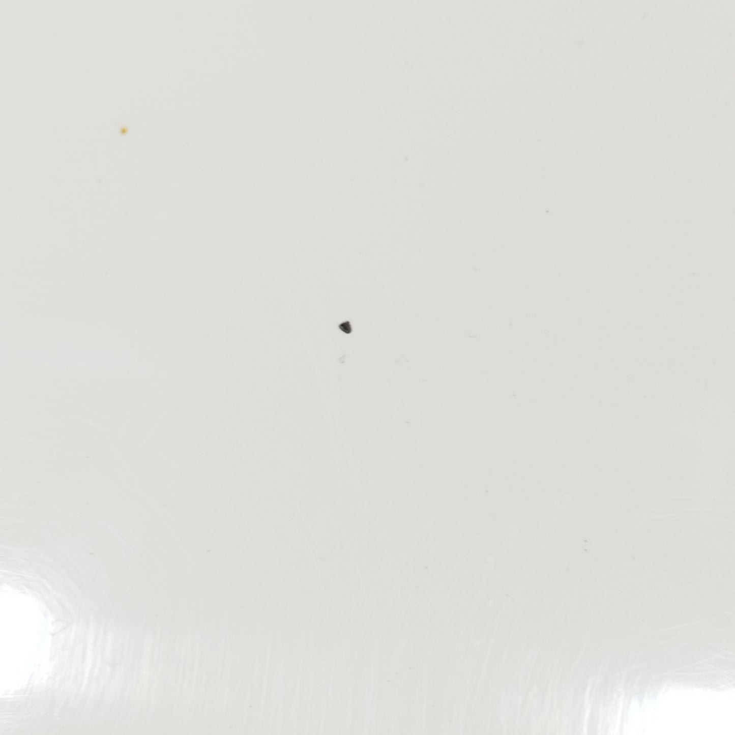 Weiße Motorhaube Fiat Punto Evo 2012 ecoAC10940