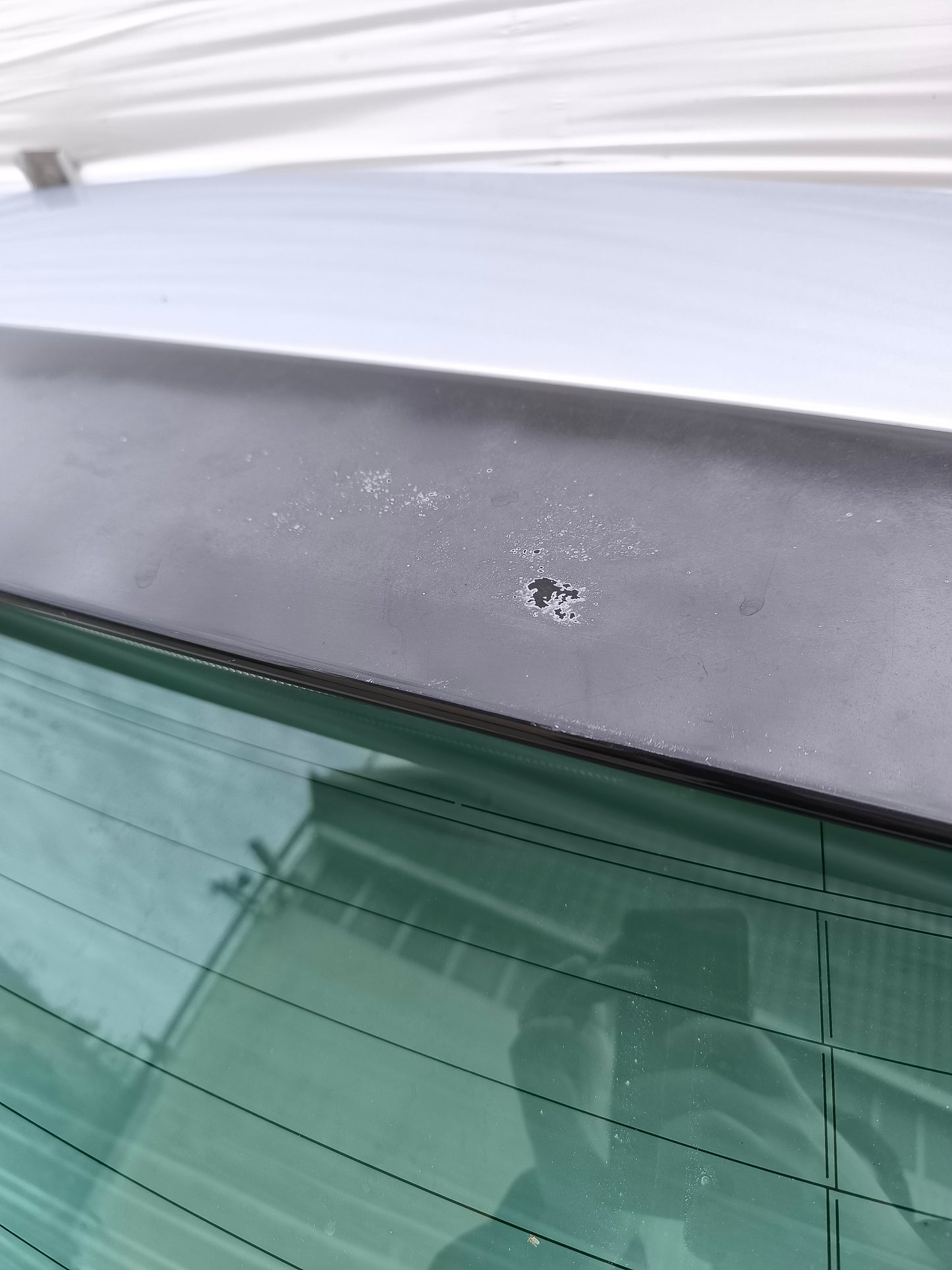 Portellone Citroen C4 II (B7) anno 2010-2015 ecoAG8008