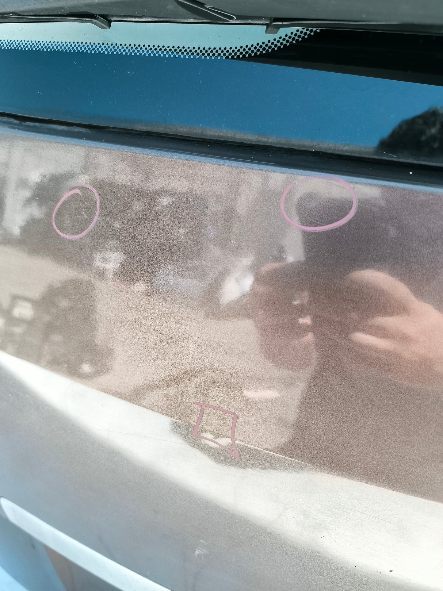 Portellone posteriore bronzo Renault Scenic Xmode anno 2012 ecoAG7249