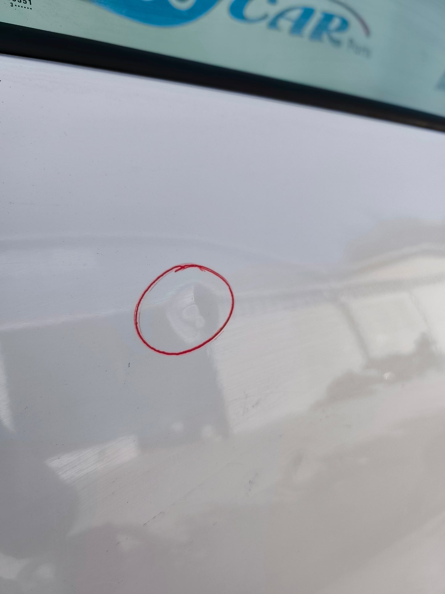 Rear door left white Dacia Sandero 2012 ecoAG5882