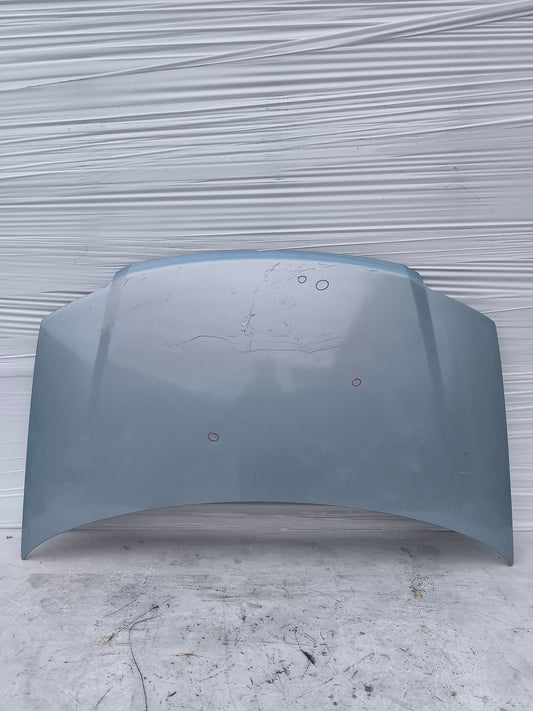 Cofano celeste Fiat Panda 169 2003-2011 ecoAG7983