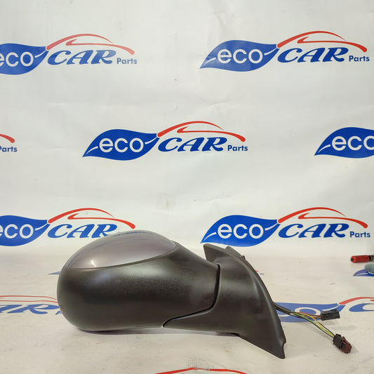 Elektrischer rechter Außenspiegel, 2-polig, 9-adrig, Citroën C3, Baujahr 2006, grau, ecoAG966