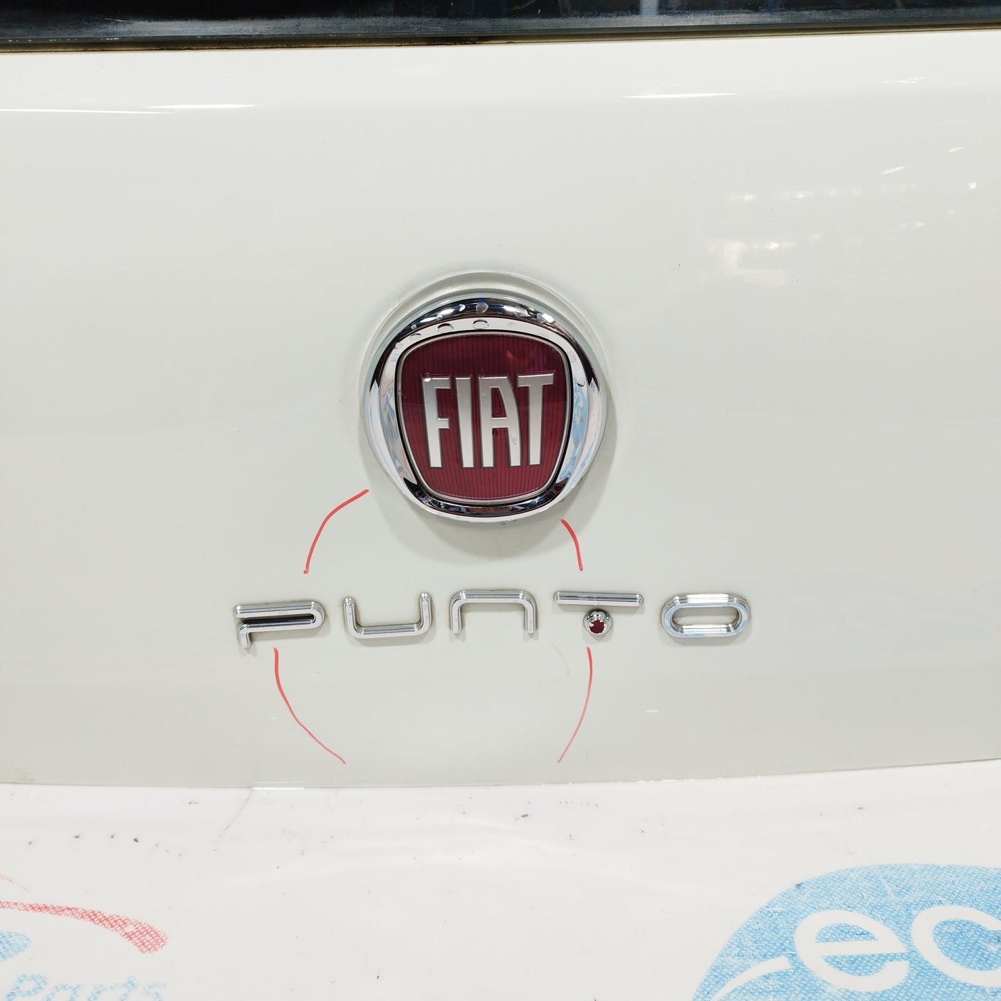 Weißer Fiat Punto Evo Lounge/Straße mit Heckklappe, Baujahr 2014, ecoAC2392