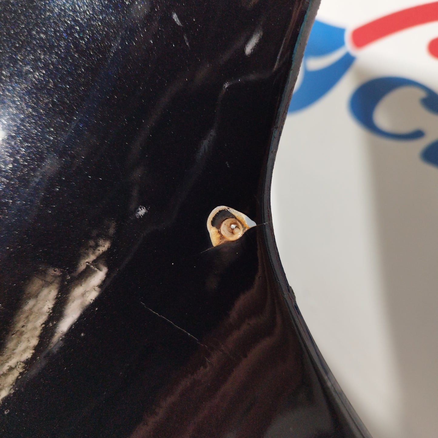 Paraurti posteriore nero con sensori di parcheggio Mercedes Classe B w245 2008 ecoAC2420